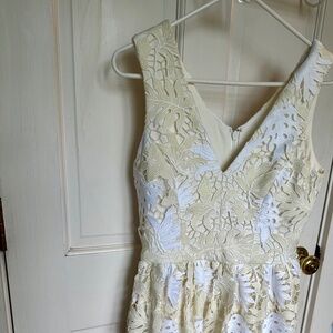 Dress The Population Lace Dress